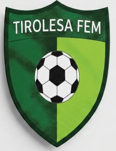 Tirolesa FEM